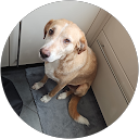 Profilbild von „Aaron Fetting“