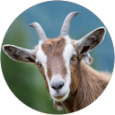 Profilbild von „Felix Proske“